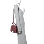 Carat Calfskin Rejane PM Wood Rose