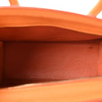 Goatskin Nano Luggage Orange
