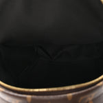 Monogram Palm Springs Backpack Mini