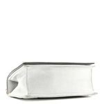 Metallic Grained Calfskin Diorama Wallet on Chain Pouch Silver