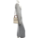 Triomphe Canvas Calfskin Mini Vertical Cabas White