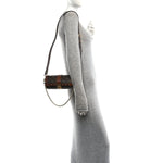 Monogram Papillon Trunk