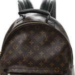 Monogram Palm Springs Backpack MM