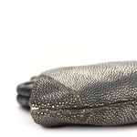 Stingray Degrade Frame Clutch Silver