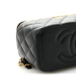 Lambskin Quilted Metal Small Top Handle Vanity Case With Chain Black