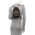 Monogram Palm Springs Backpack Mini