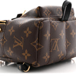Monogram Palm Springs Backpack Mini