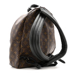 Monogram Palm Springs Backpack MM
