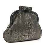 Stingray Degrade Frame Clutch Silver