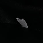 Jacquard Calfskin Triangolo Symbole Embroidered Mini Triangle Double Bag Black Edera