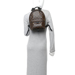 Monogram Palm Springs Backpack PM