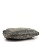 Stingray Degrade Frame Clutch Silver